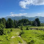 Il Pungitopo * アベトーネ