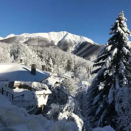 Il Pungitopo Abetone