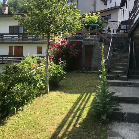 Il Pungitopo Abetone